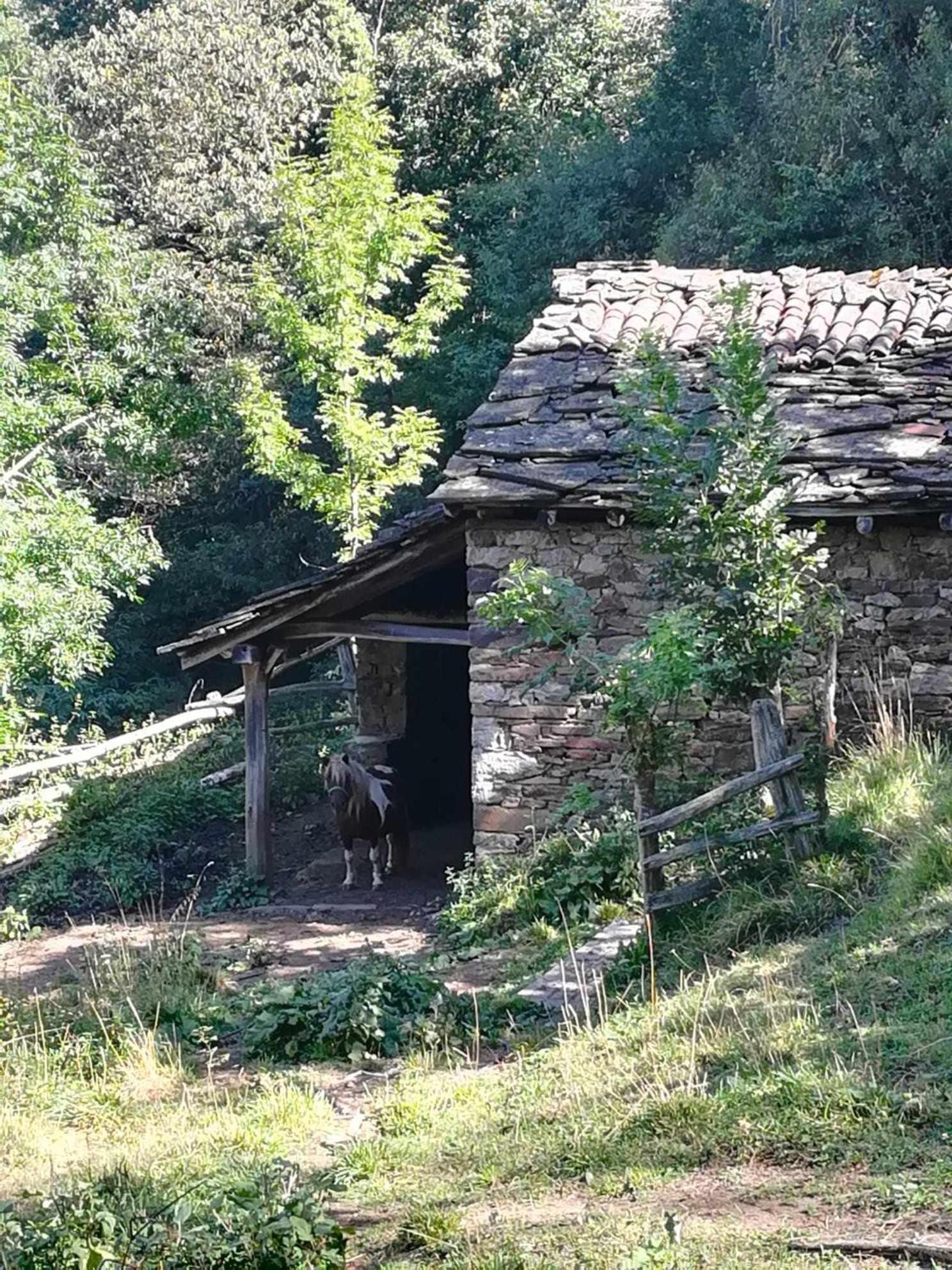 Ferienwohnung Asturias Boho Chic Aller Exterior foto